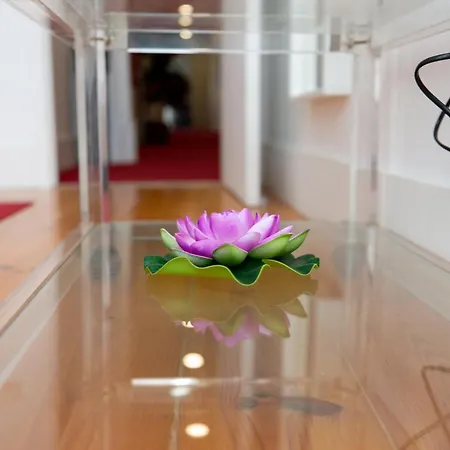 Guest house Inn-chiado Boulevard 3*